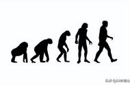 猿猴的起源和来历（最早的猿猴是哪里来的）