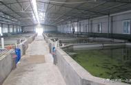 鱼塘高密度养殖水质管理技术（鱼塘尾水养殖技术规范）