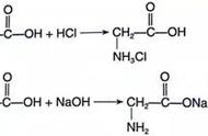 氨基和羧基缩合的条件（氨基和羧基脱水缩合方程式）
