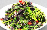 经典素食菜谱图片大全窍门（100个素食菜谱大全）