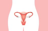 女性吃啥对卵巢有好处（黑豆浆对卵巢有好处吗）
