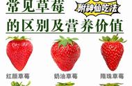 草莓品种一览表大全（最好的三种草莓品种）