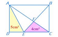 矩形面积公式（三角形面积计算公式）