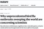禽流感哪一年爆发厉害（中国禽流感是哪一年爆发的）