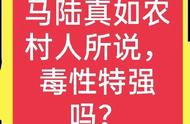 马陆有毒吗怎么彻底消灭（马陆怎么消灭最简单方法）