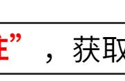 触目惊心550万在美华人数据（550万华人在美国现状）