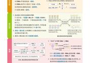 高一生物必背全套笔记（高一下学期生物必背归纳）