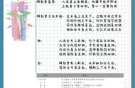 系统解剖学重点归纳（系统解剖学大一重点归纳）