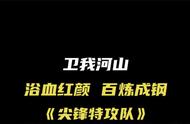 火线特攻队演员表（尖峰特攻队演员表）