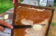 怎么挖蜂蜜不粘盖