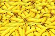 香蕉的营养价值有哪些（香蕉有哪些营养和功效）