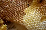 蜂巢结构还被用于生活中哪些地方（蜂巢结构的物体的好处）
