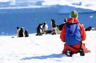 南极环境保护建议（南极环境保护的警示语）