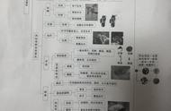 四下科学思维导图大全（四下科学思维导图一张纸搞定）