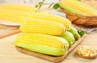水果玉米的功效与作用及营养价值（水果玉米营养价值表大全）