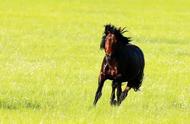 关于大自然的诗5首（大自然短诗100首）