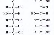 葡萄糖结构式示意图（葡萄糖分子结构图片）