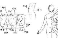 遗溺不禁什么意思（掀衣便溺什么意思）