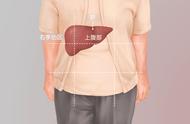 肝脏位于人体左边还是右边（人体肝脏位置在右边还是在左边）