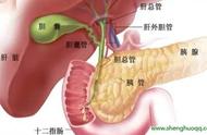 胆囊切除手术第二天可以吃苹果吗（胆囊切除12小时后可以吃苹果吗）