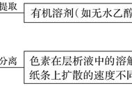 增施农家肥光合效率（为什么农家肥可提高co2浓度）