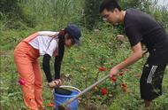 移植树要注意什么（新移植的树怎么浇水要注意什么）