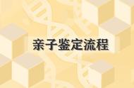 做亲子鉴定流程（父子鉴定最佳方法）