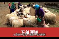 有什么民族不能吃牛肉（哪些少数民族不吃猪肉牛肉）