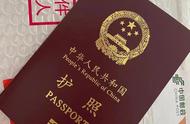 出国护照办理流程（出国办护照多少钱）