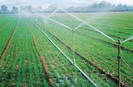 微喷灌溉设备安装图（微喷灌整套安装示意图）