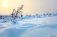 大雪满弓刀是哪首诗（大雪满弓刀古诗）