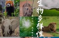 国际生物多样性日从哪一年开始（国际生物多样性日有什么活动）