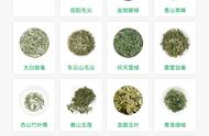 河南省有名的茶叶有哪些（河南各地茶叶产品介绍）