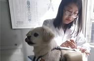 宠物诊疗技术规范（宠物疾病诊断国家标准由哪个部门）