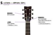 吉他的结构分解图（吉他结构解剖图）