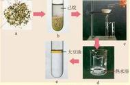 怎么鉴别羊毛与棉花（怎么判断棉花是不是羊毛）