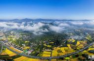 富阳药谷小镇客厅（富阳药谷小镇在什么地方）