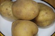50公斤土豆的储存方法（土豆储藏最佳方法）