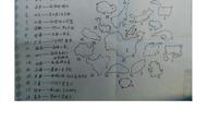 中国各省地图轮廓像什么动物（中国各省地图的形状像什么）