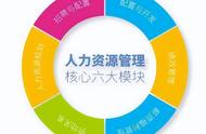 人力资源管理学什么内容（人力资源管理是干嘛的主要学什么）