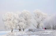 几毫米以上算大雪（今日是大雪吗）