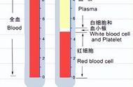 血液各部分的作用是什么（血液的主要的三个功能）