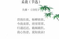 诗经采薇白话文（诗经采薇注音版原文及翻译）