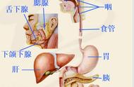 三腔二囊管留置术步骤（三腔两囊管操作步骤及注意事项）