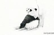 国宝大熊猫怎么画（中国大熊猫怎么画）