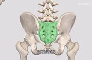 确定骶骨裂孔的标准是（骶骨裂孔的定位方法）