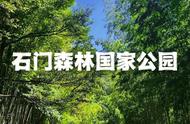 广州石门国家森林公园好不好玩（广州石门森林公园值得去吗）