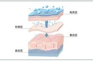 补水面膜和水乳顺序（面膜水乳的正确步骤）