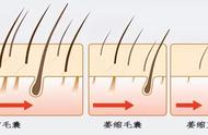 人的头发哪个季节长得最快（头发几月份生长得最快）