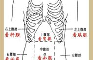 五脏六腑疼痛区高清图（肾结石疼痛位置图）